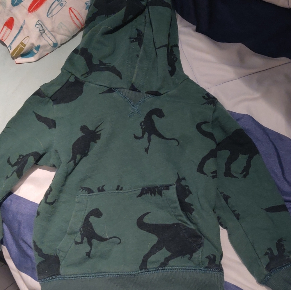 Dinosaur sweatshirt